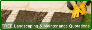 Free Landscaping and Maintenance Quotations in Paphos Cyprus