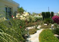Cyprus Landscaping